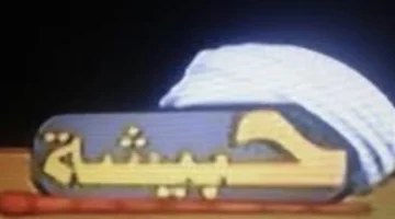 تحديث التردد.. استقبال قناة حبيشة للأفلام على نايل سات لمشاهدة السينما المصرية